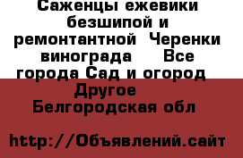 Саженцы ежевики безшипой и ремонтантной. Черенки винограда . - Все города Сад и огород » Другое   . Белгородская обл.